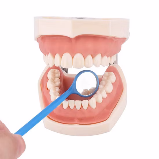 Instrumento de examen dental Precio más bajo Espejo de boca antivaho